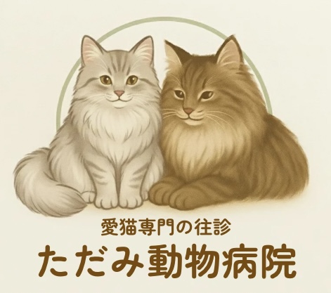 【猫の往診専門】ただみ動物病院｜武蔵野・吉祥寺・三鷹｜完全予約制｜東京都の愛猫のホームドクター