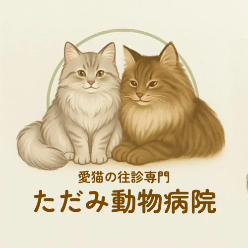【猫の往診専門】ただみ動物病院｜武蔵野・吉祥寺・三鷹｜完全予約制｜東京の在宅で診療を受けたい愛猫｜訪問での診療