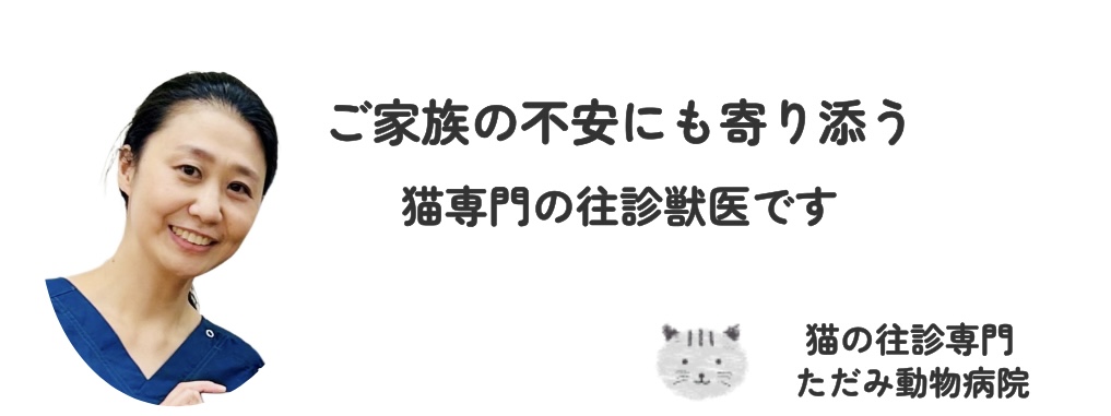 猫の往診専門 ただみ動物病院のトップバナー