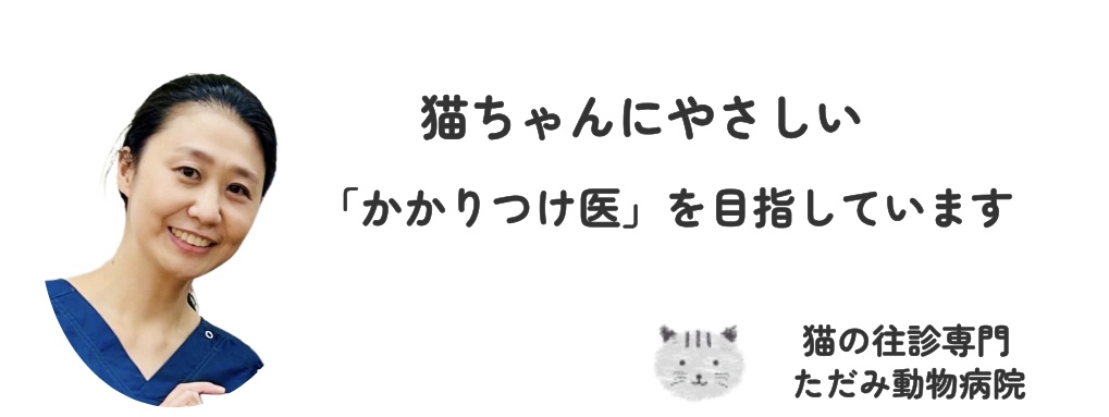 猫の往診専門 ただみ動物病院のトップバナー