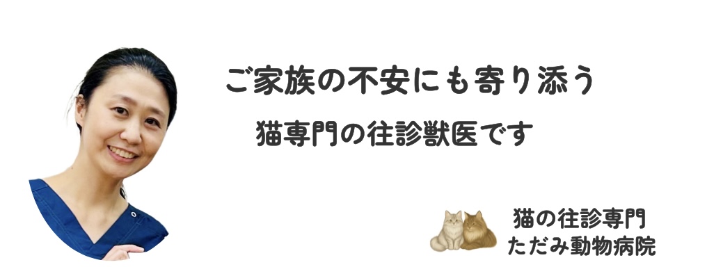 猫の往診専門 ただみ動物病院のトップバナー