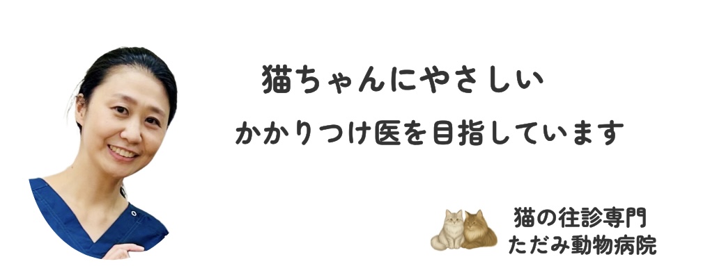 猫の往診専門 ただみ動物病院のトップバナー