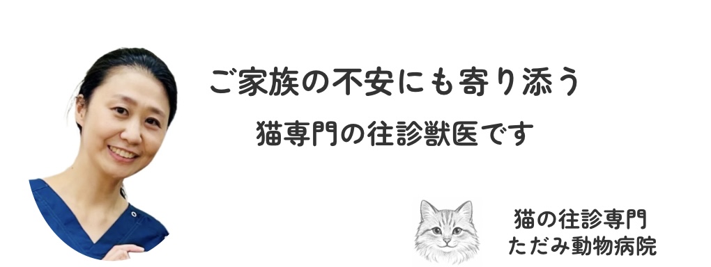 猫の往診専門 ただみ動物病院のトップバナー