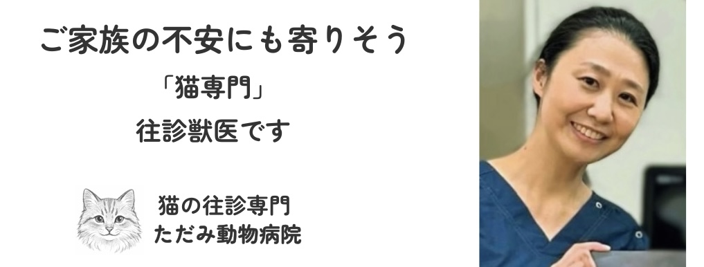 猫の往診専門 ただみ動物病院のトップバナー