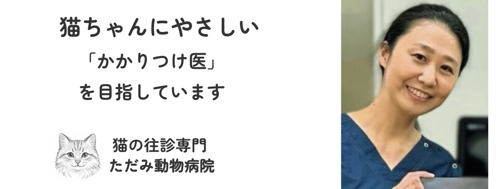 猫の往診専門 ただみ動物病院のトップバナー