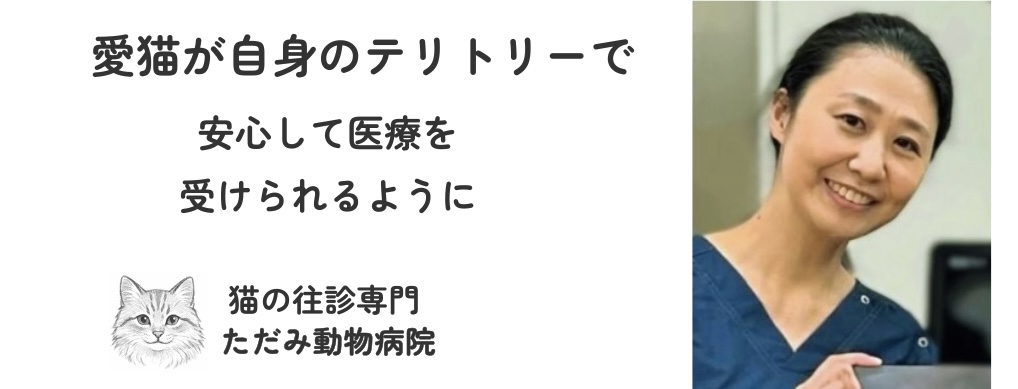 猫の往診専門 ただみ動物病院のトップバナー