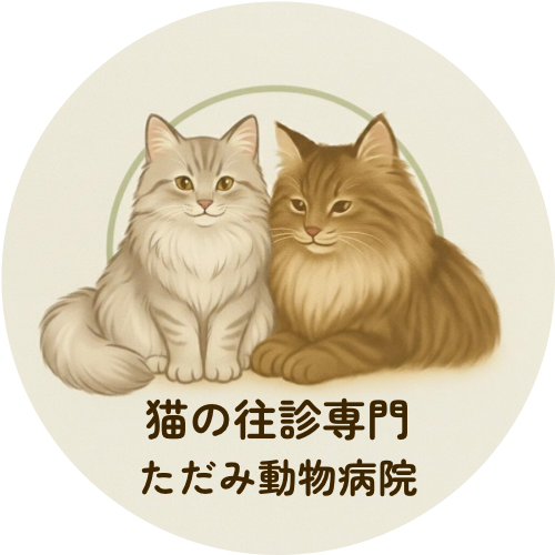 【猫の往診専門】ただみ動物病院｜武蔵野市・吉祥寺・三鷹・東京都内｜通院が難しい猫に誠実に向き合う診療