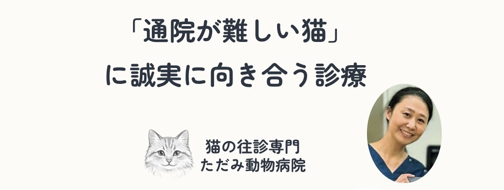 猫の往診専門 ただみ動物病院のトップバナー「通院が難しい猫」に誠実に向き合う診療