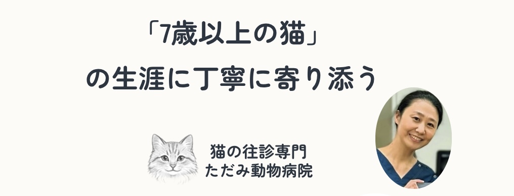 猫の往診専門 ただみ動物病院のトップバナー